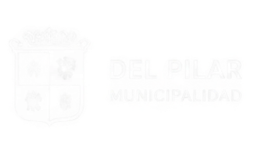 Logo de Municipalidad del Pilar